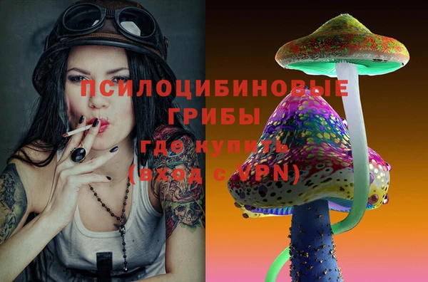 мяу мяу мука Богородицк