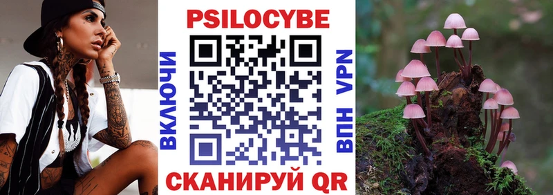 Псилоцибиновые грибы Psilocybine cubensis  Туапсе 